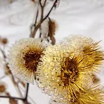 펜션 Goscinne Antek