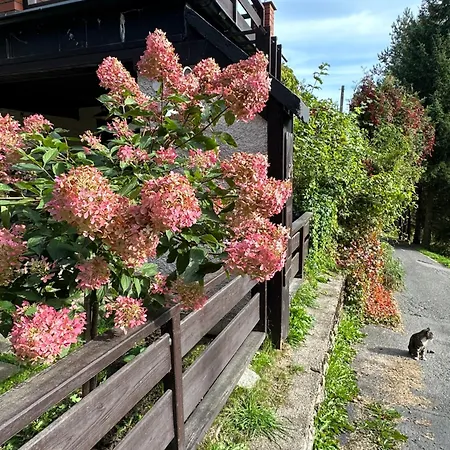 Goscinne Antek Ferienhaus *