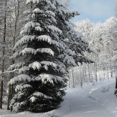 Holiday home Goscinne Antek