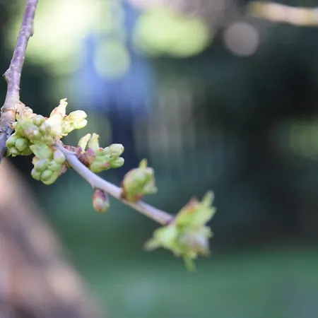 Holiday home Goscinne Antek Czarnow (Kamienna Gora)