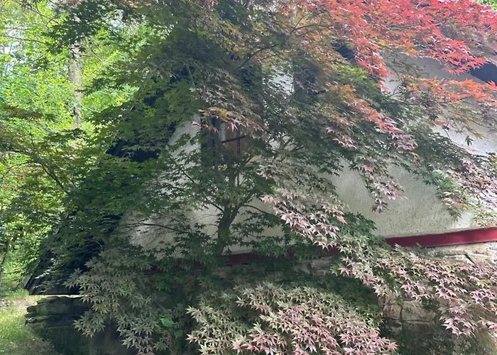 別荘 Goscinne Antek Czarnow (Kamienna Gora)