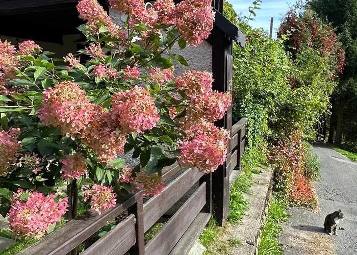 Goscinne Antek Holiday home *