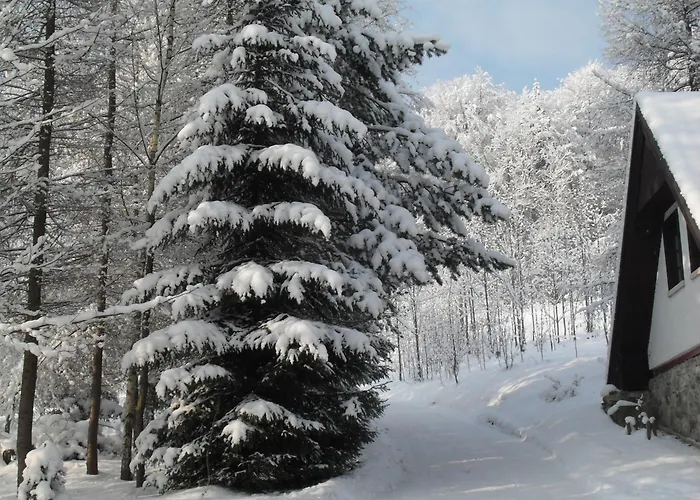 Holiday home Goscinne Antek