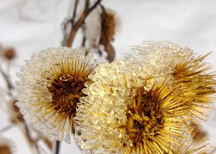 Holiday home Goscinne Antek