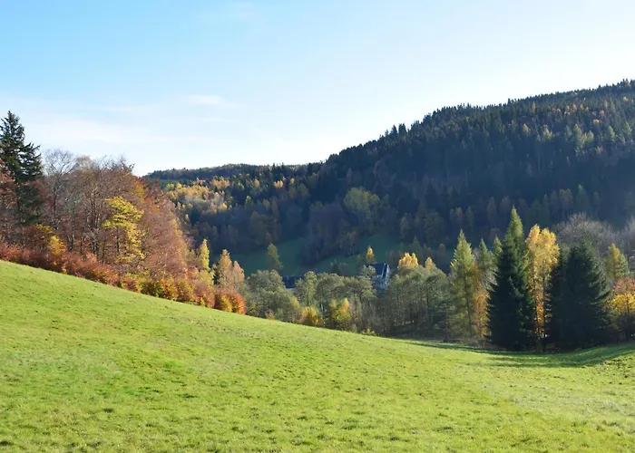 Goscinne Antek Holiday home Czarnow (Kamienna Gora)